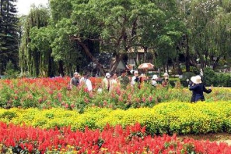 Tour Du Lịch Hà Nội - Đà Lạt  4 Ngày 3 Đêm Đi Bằng Máy Bay